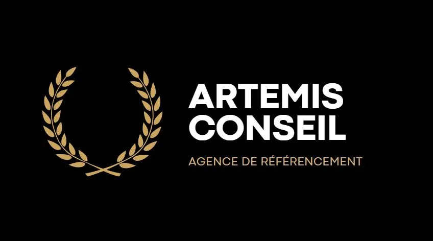 Artemis Conseil agence référencement Lille